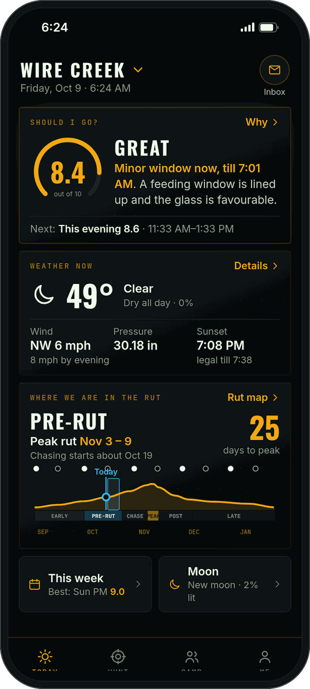 Today in Guided: Should I go? 8.4 out of 10, Great, minor window now till 7:01 AM with the reason why, then weather now, where you are in the rut, this week and the moon